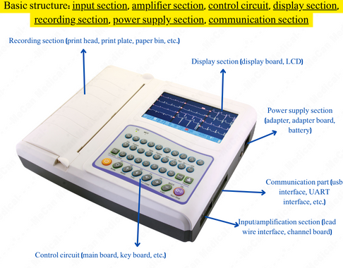 ECG Basic Structure ECG Basic Structure