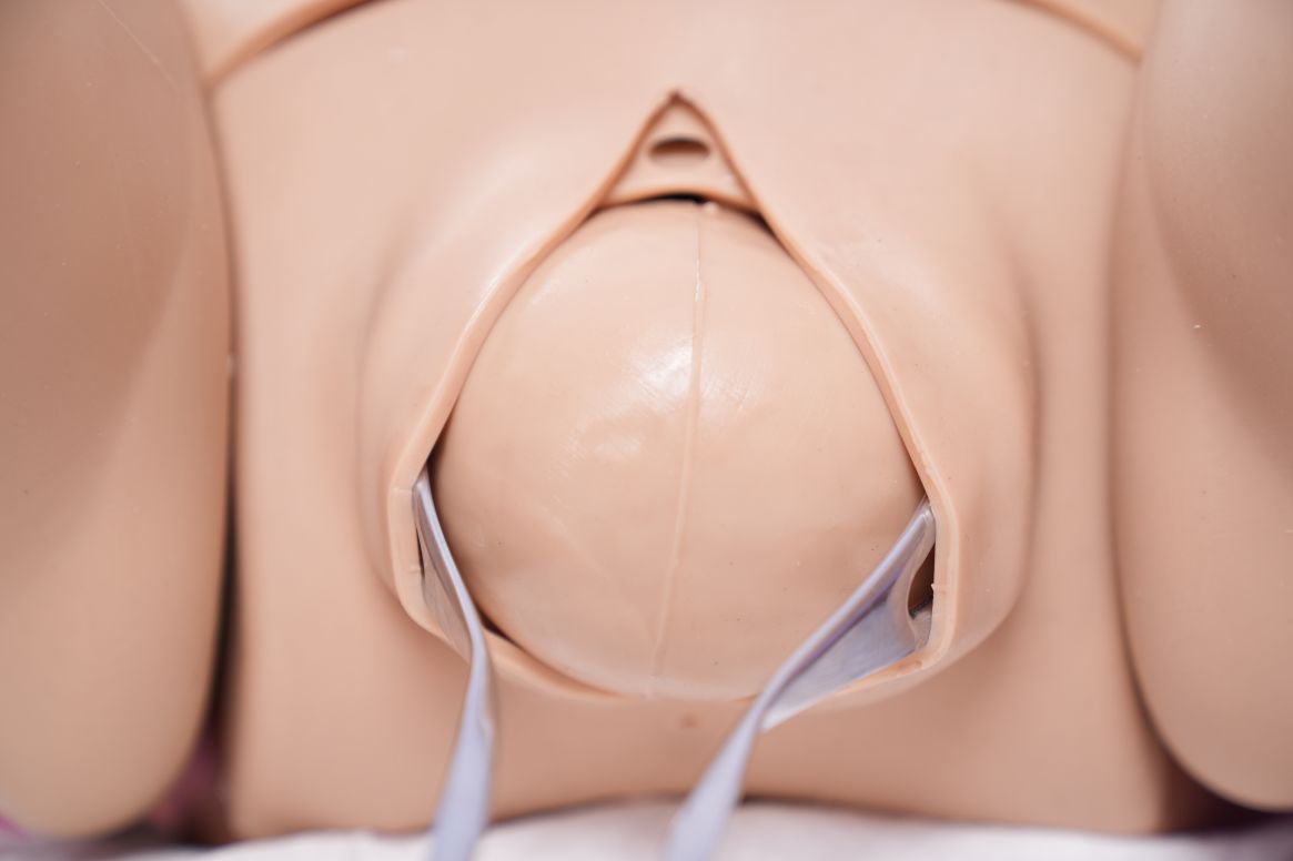 Modular vaginal delivery simulator Մոդուլային հեշտոցային առաքման սիմուլյատոր