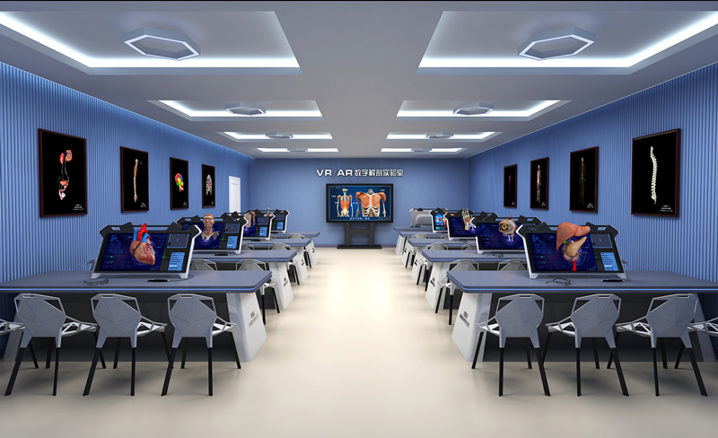 digital anatomy laboratories