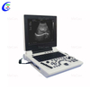 Color Doppler Ultrasound - Fetal Imaging