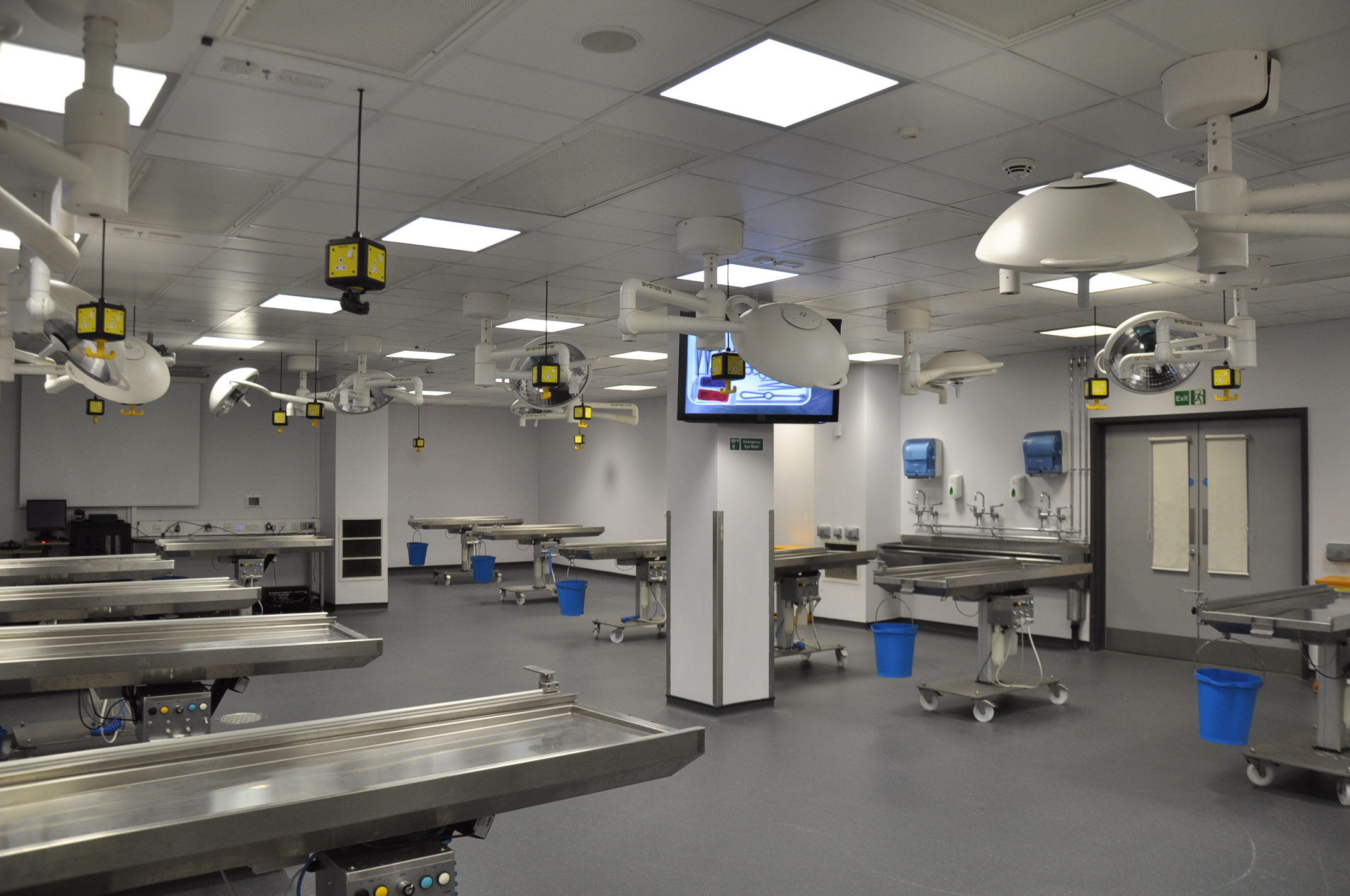 clinical anatomy training centers