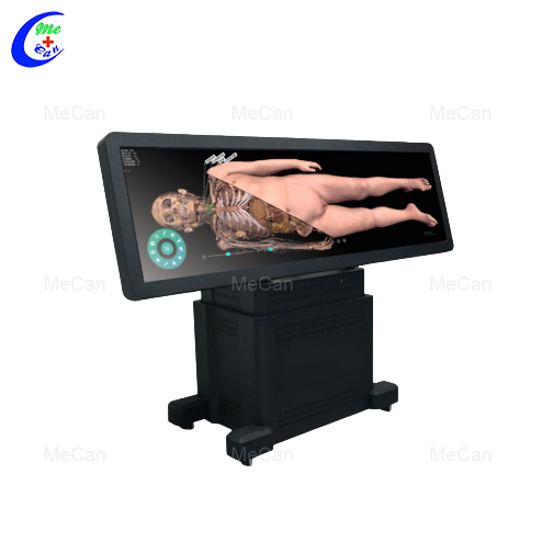 Virtual Anatomy Table - Revolutionizing Anatomy Education