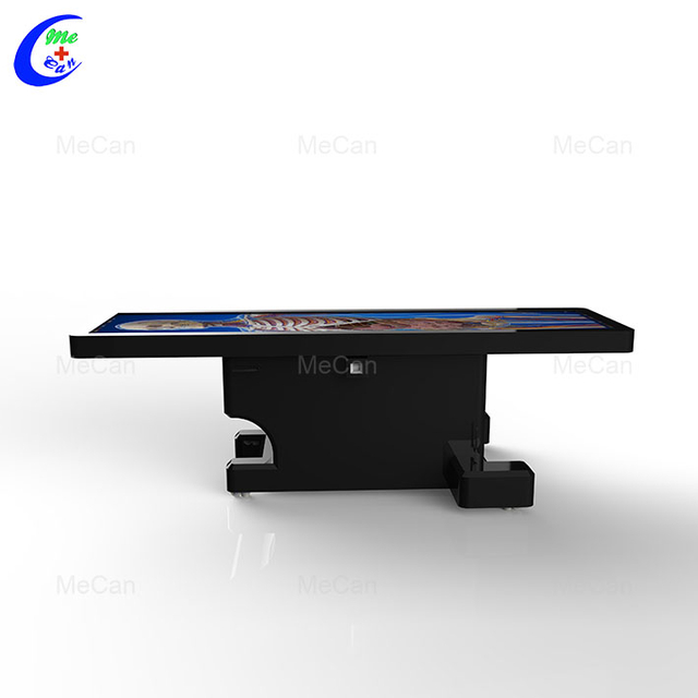 Human Body Anatomy Model - Interactive Learning Tool