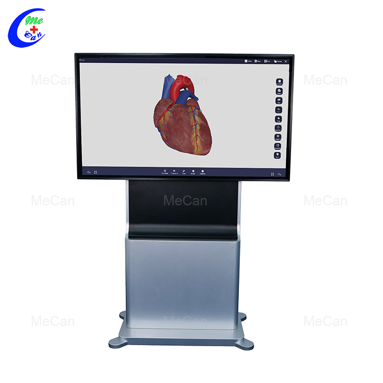 3D Virtual Dissection Anatomy Table | MeCan Medical