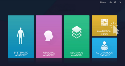 Anatomical Video