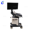Trolley 4D Ultrasound Scanner