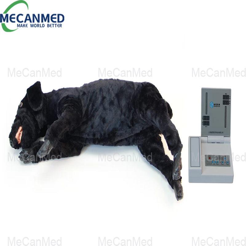 MECANMED electronic dog CPR model with black dog simulator and control unit displaying numerical readings on a white background.