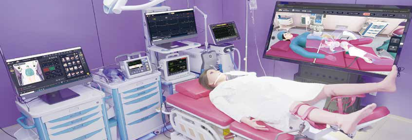 MCE0937 MECANMED High -end Birth Simulator 