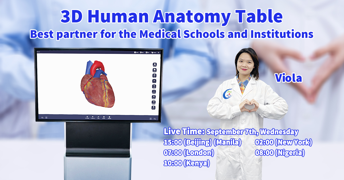 Livestream – Tabella Anatomia Umana 3D |Mecan Medical