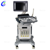 4D Color Doppler Ultrasound Machine Trolley