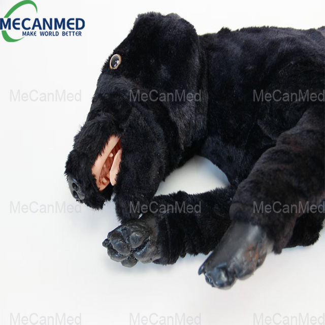 Primer plano del modelo de perro de peluche negro utilizado para el entrenamiento de RCP canino, que muestra caracter&iacute;sticas detalladas como la boca y la lengua abiertas.