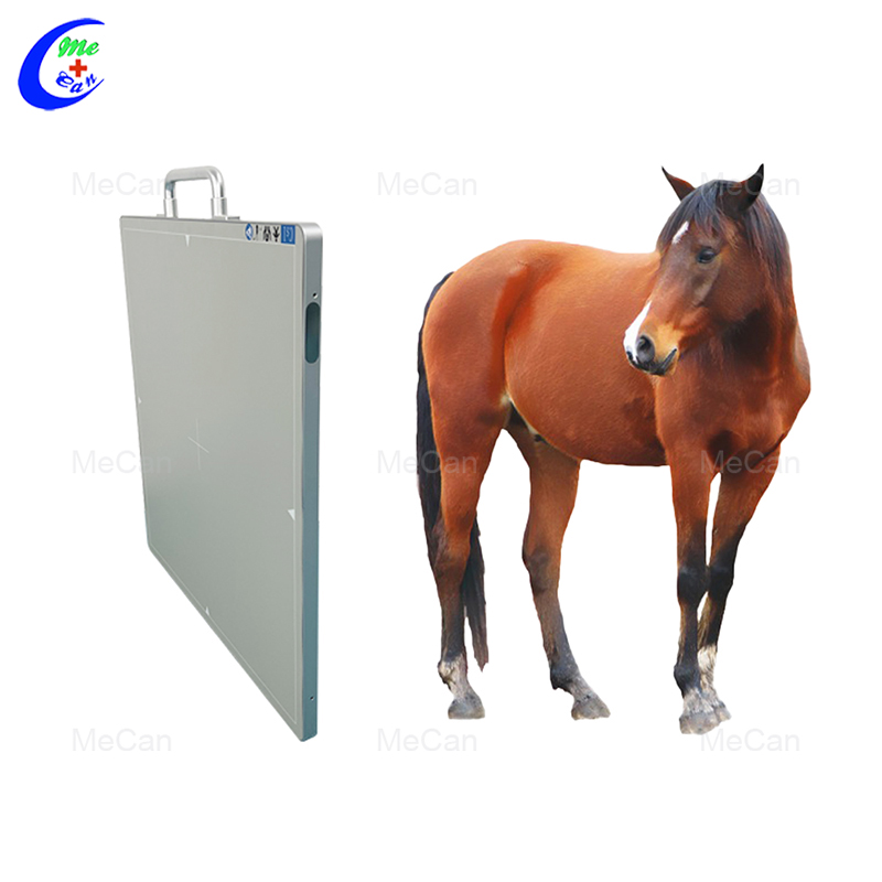 High Quality Pet Veterinary Flat Panel Detector with Good Price