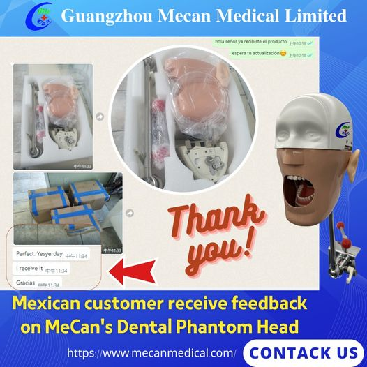 Manatu faaalia i luga o le Dental Phantom lona ulu mai Mekisiko tagata faatau | Mecan fomai