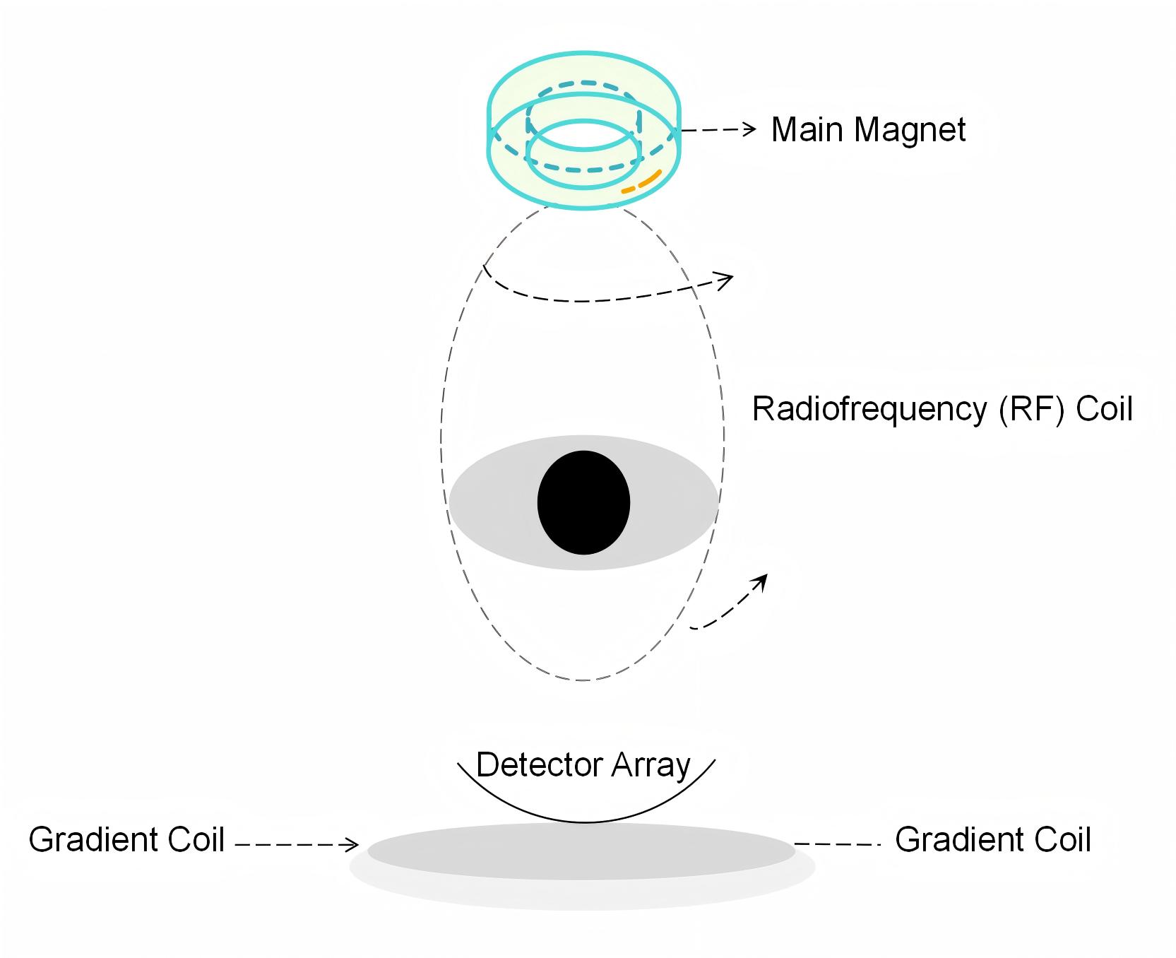 Basic Principle Diagram of MRI Machine Basic Principle Diagram of MRI Machine