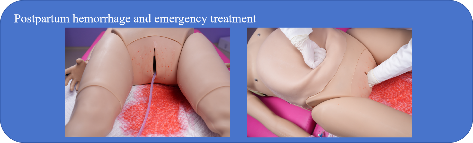A birth simulator capable of simulating bleeding