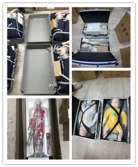 Professional logistics and bulk shipping of medical training model supplies to a distributor in Kenya, featuring secure packaging and customs-ready documentation.