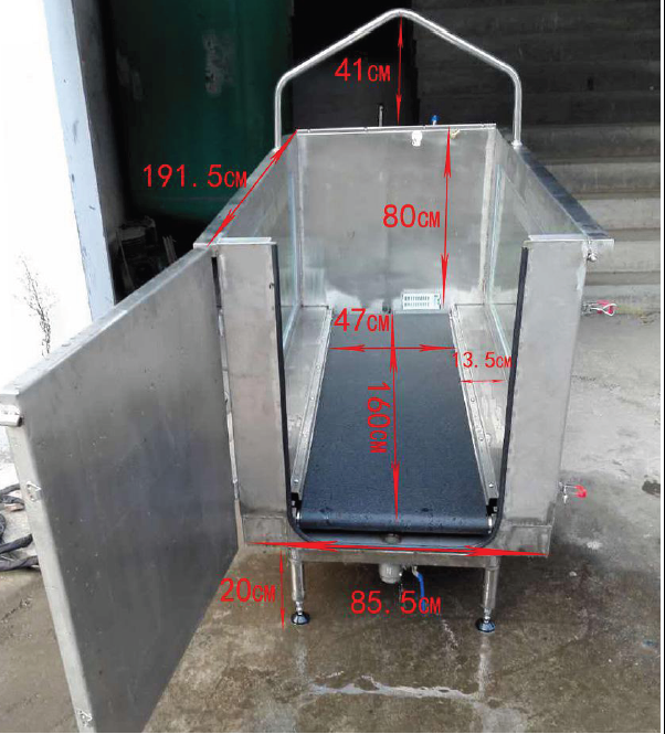 underwater treadmill