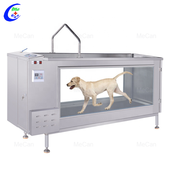 Professional Dog Hydrotherapy Treadmill Dog Under Water Treadmill manufacturers