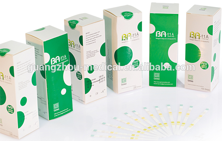 Jalur air kencing.jpg