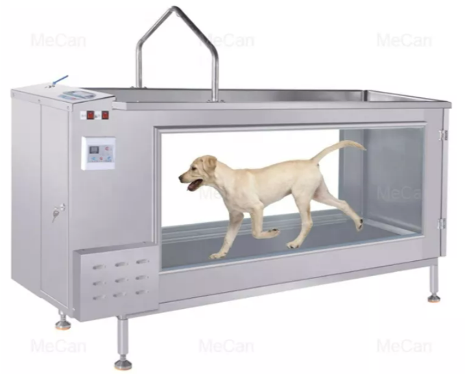dog underwater treadmill.png