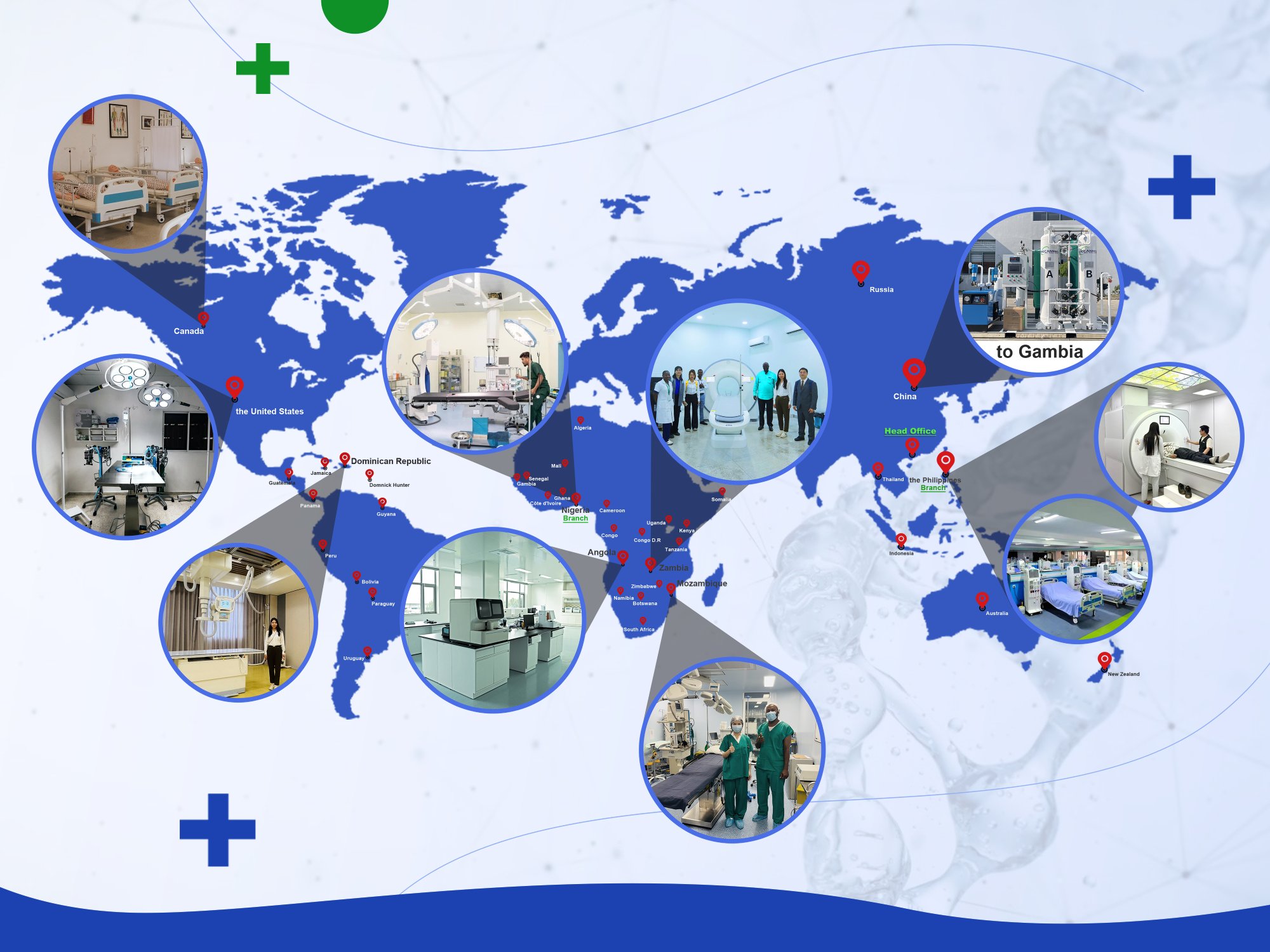 Specialized Support for Government & World Bank Projects