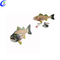 હોલસેલ રિયાલિસ્ટિક લાઈફ સાઈઝ એનિમલ ફિશ એનાટોમી મોડલ સારી કિંમત સાથે - મીકેન મેડિકલ