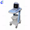 Skaneri portativ me ultratinguj i pajisjeve më të mira mjekësore Kompania e ultrazërit me ngjyra të plota dixhitale me doppler - MeCan Medical