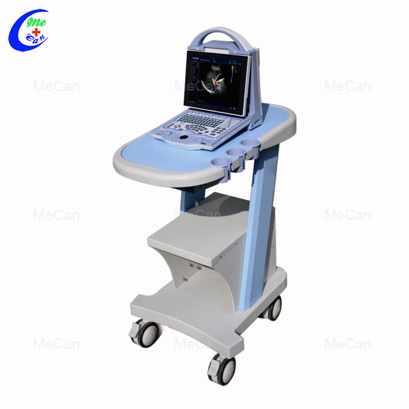 Best Medical Equitment Portable Ultrasound Scanner Full Digital Color Doppler Ultrasound Company - MeCan Medical