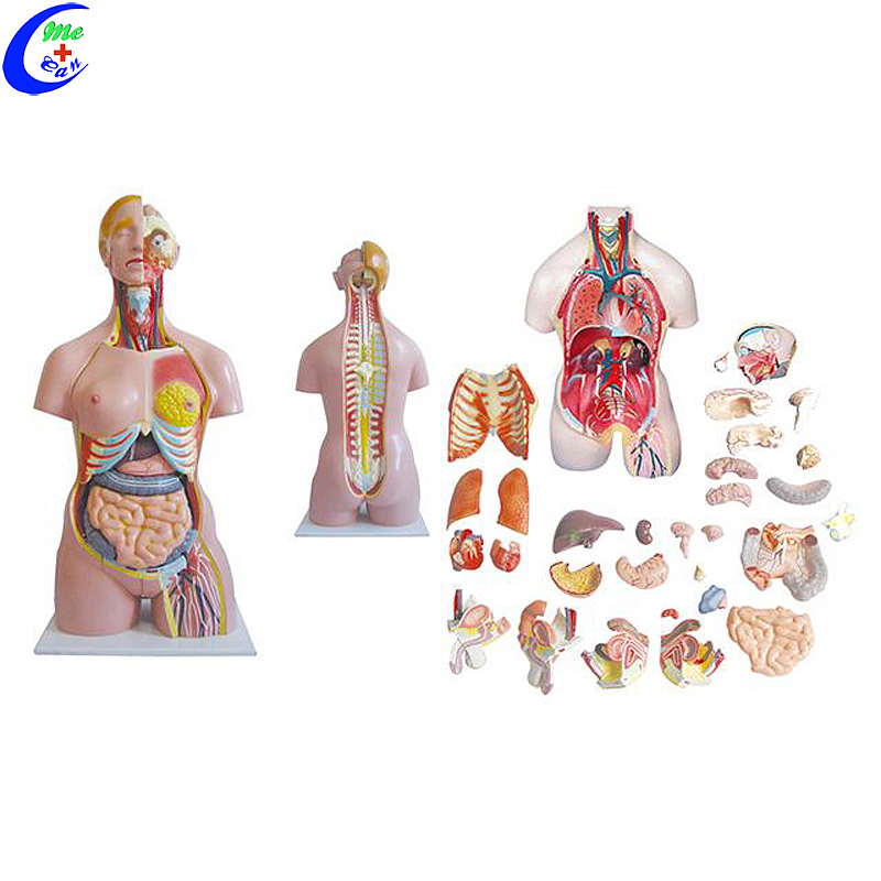 Professional bilan jinsiy aloqa Professional bilan jinsiy aloqa