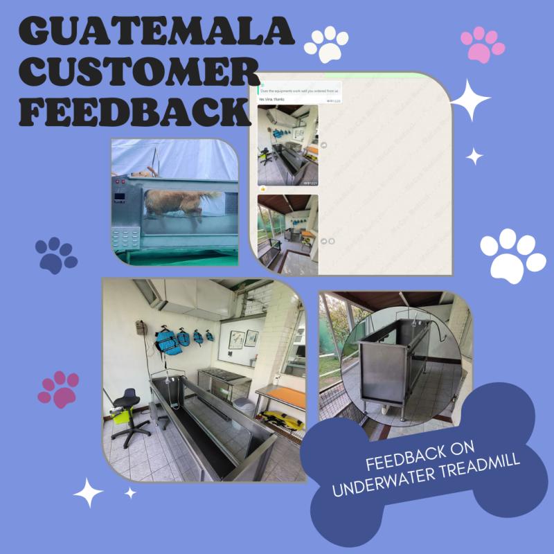 Recenzije kupaca iz Gvatemale o našoj električnoj podvodnoj traci za trčanje za pse