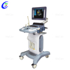 4D Trolley Color Doppler Ultrasound Machine