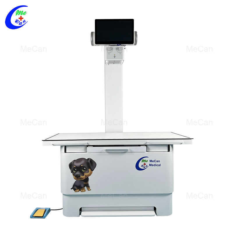 Best Quality 32KW Animal Digital Radiography System Veterinary Digital X Ray Machine Factory