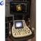Best Quality Medical Ultrasound Scanner Portable Color Doppler Ultrasound Scanner Trolley Factory