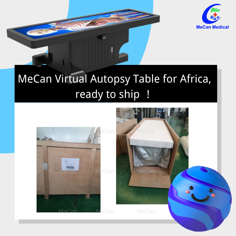 Tabel autopsi virtual kanggo Afrika siap dikirim | Mecan Medical