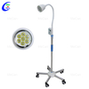 Medical Examination Lamp