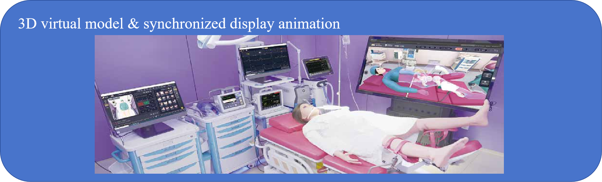 The birth simulator features 3D virtual models and synchronized animation display functions.