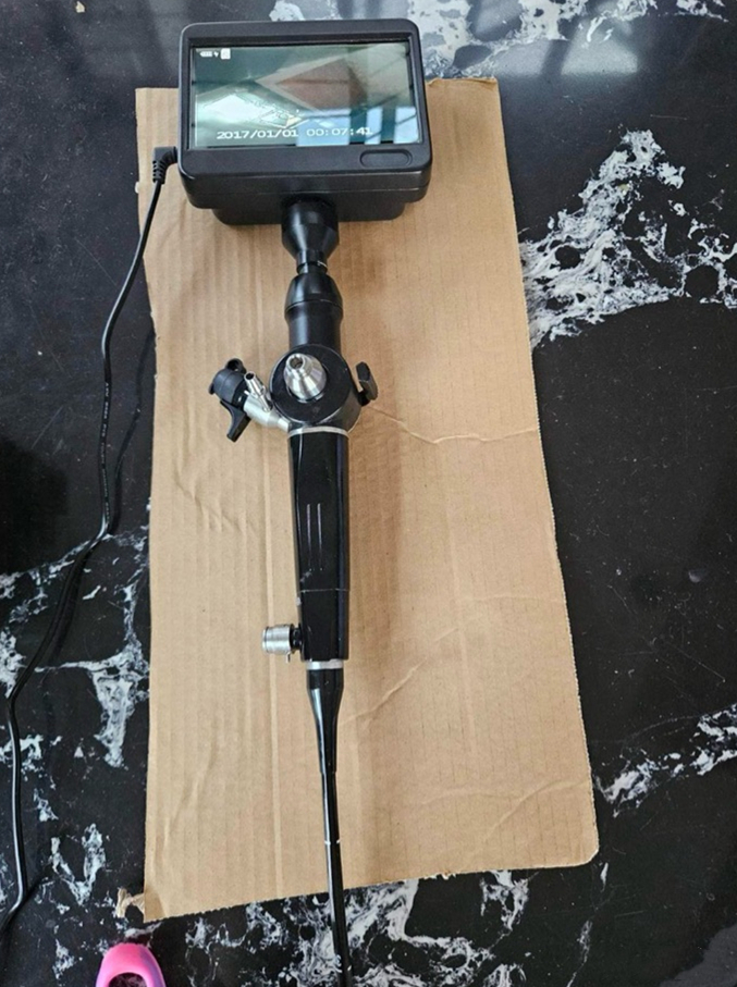 A video choledochoscope showing a real-time endoscopic view on its high-definition monitor.