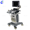 4D Color Doppler Ultrasound Machine Trolley