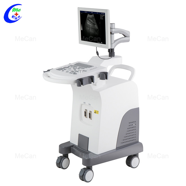 Quality Portable B/W Ultrasound Machine, Full-Digital Trolley Ultrasound Scanner Manufacturer | MeCan Medical