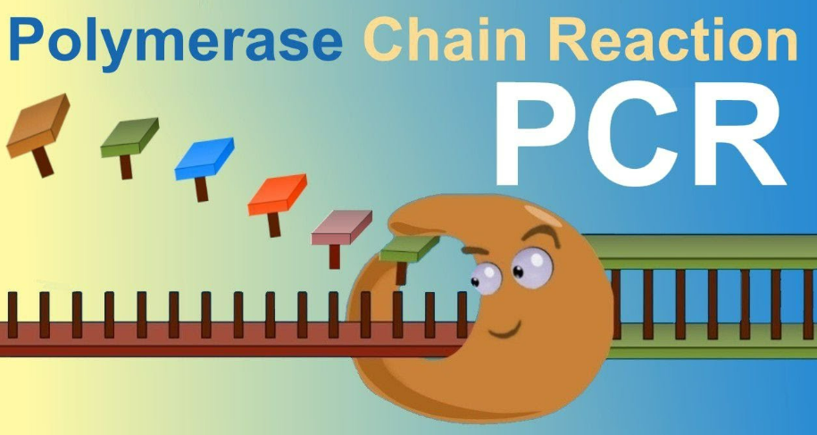 PCR machine