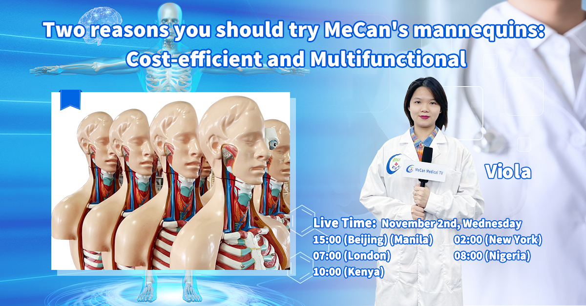 Priamy prenos |Cenovo výhodné a multifunkčné figuríny |MeCan Medical