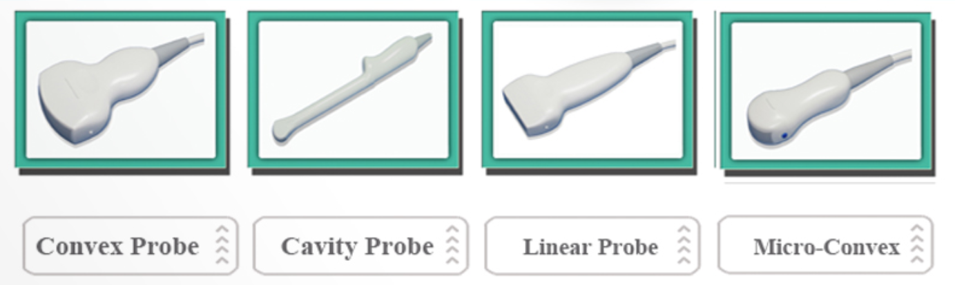 İsteğe bağlı Prob: