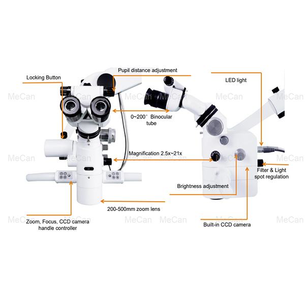 Funzionamentu Microscope struttura