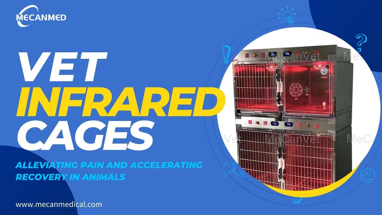 Healing with Heat: Veterinary Infrared Physiotherapy Cages for Alleviating Pain and Accelerating Recovery in Animals