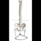 Best Inflexible Spine with Pelvis and Femur Model Anatomy Manikin Factory Price - MeCan Medical