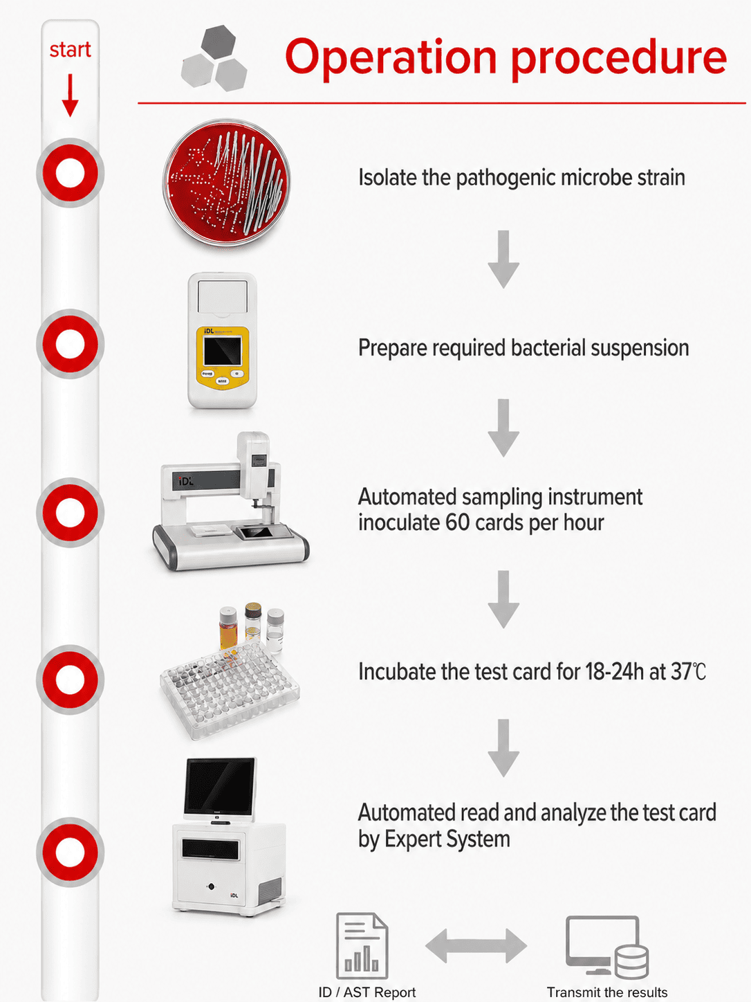 Fluxo de traballo de funcionamento do sistema AST de identificaci&oacute;n microbiana automatizada desde o illamento de pat&oacute;xenos ata a transmisi&oacute;n de datos LIS.