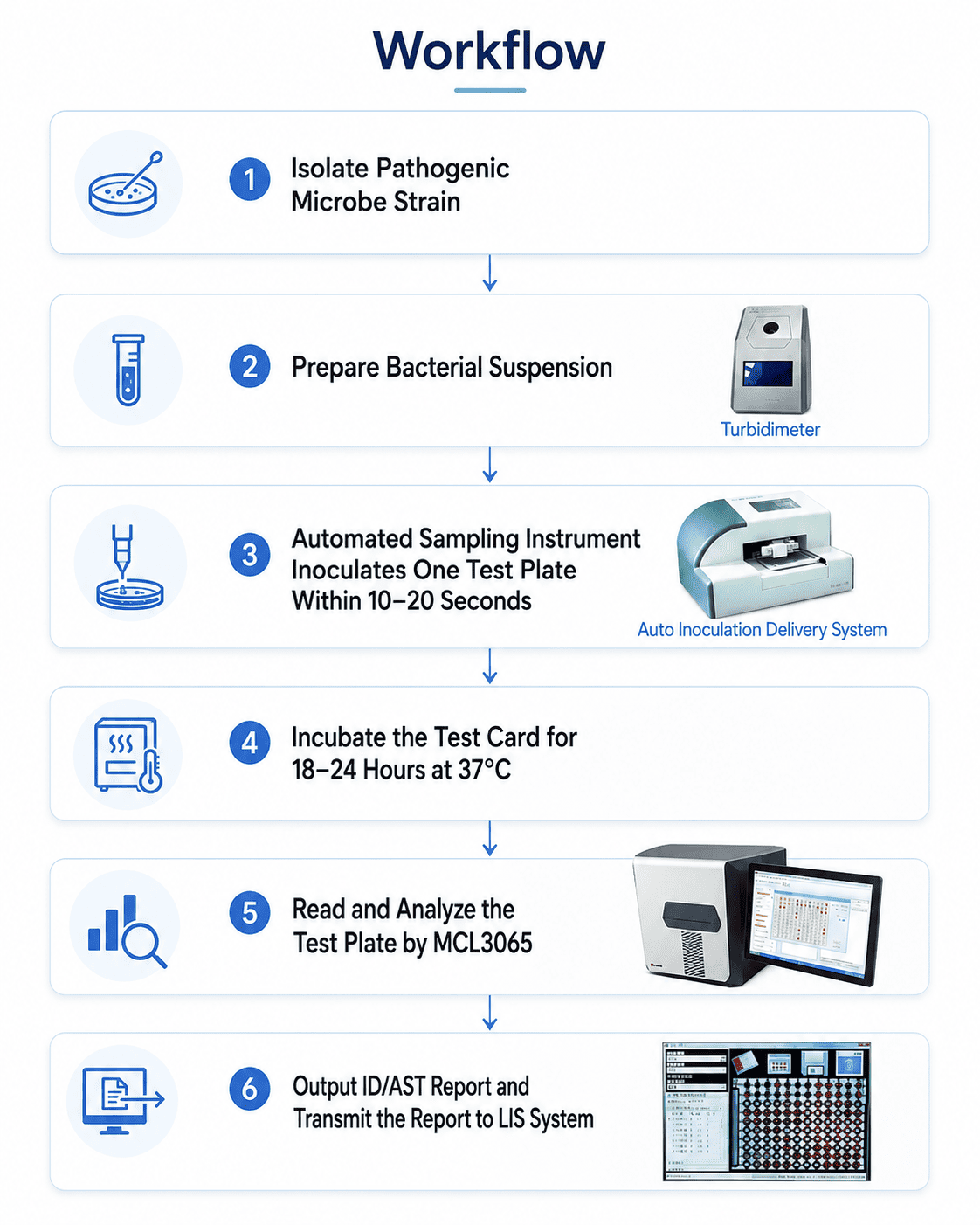 6-step workflow ata o le MCL3065 semi-otometi ID / AST faiga suʻesuʻega mo microbial faʻamaonia ma suʻega MIC.